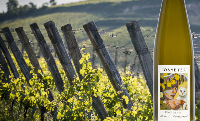 Forår på flaske!<br>Mise du Printemps 2025