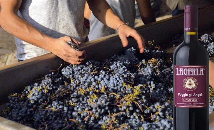 Spar<br>Kr. 50,-<br>pr. flaske