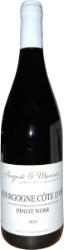2023 Bourgogne Rouge Côte d'Or