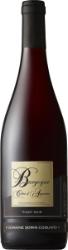 2021 Bourgogne Rouge - Pinot Noir