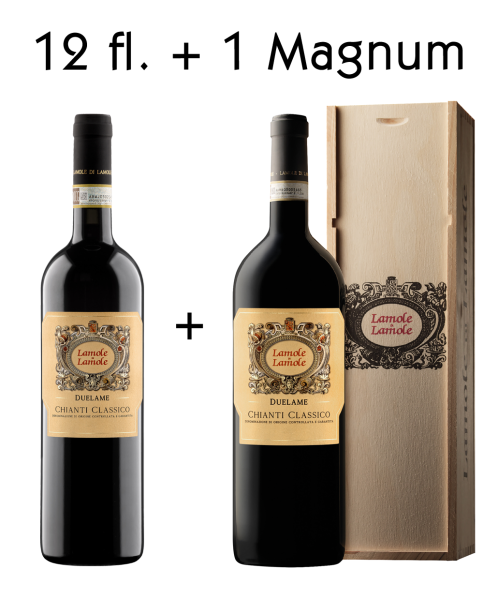 2020 12 fl. Chianti Classico DUELAME