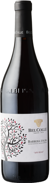 2024 Barbera d'Alba APE REALE