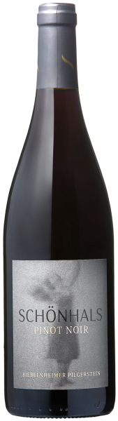 2019 Biebelnheimer Pilgerstein Pinot Noir