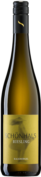 2021 Biebelnheimer Riesling