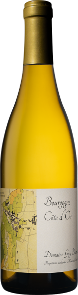 2019 Bourgogne Blanc - Côte d'Or
