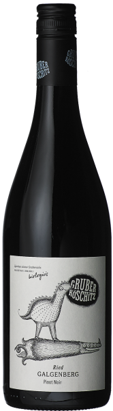 2022 Ried Galgenberg Pinot Noir